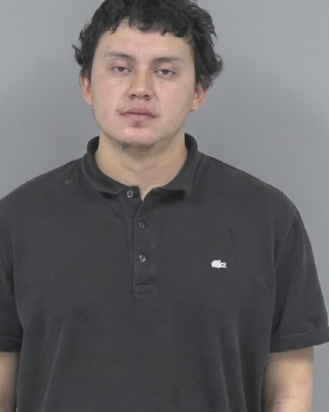 Mugshot of DAVID ALFONSO-SUAREZ