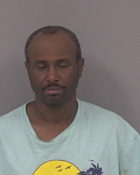 Mugshot of ADRIANNE JACKSON