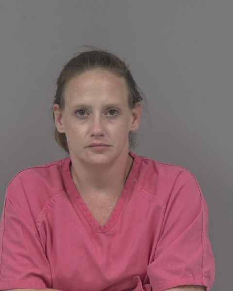 Mugshot of STEFANIE WILSON