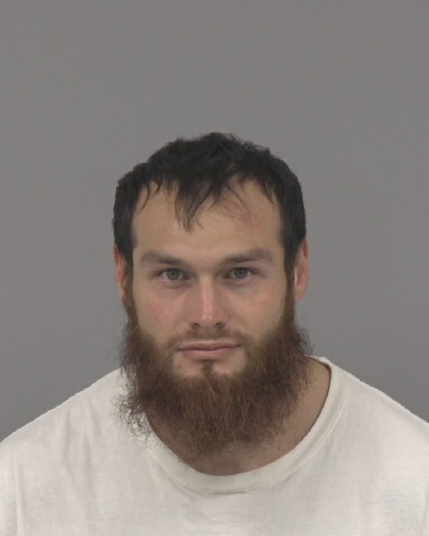 Mugshot of MICHAEL WILLIS