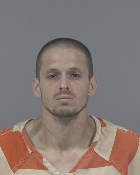 Mugshot of CAMERON DAVIS