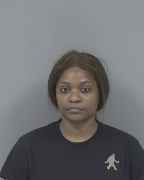 Mugshot of TIFFANY MANNING