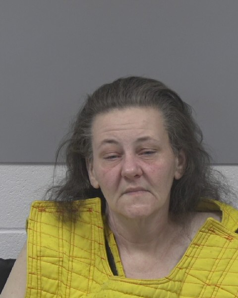 Mugshot of KANDI NEAL