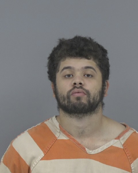 Mugshot of DEJARIAN LADAY