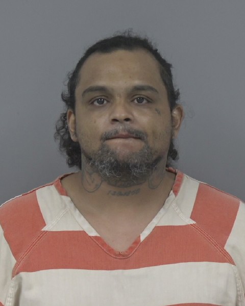 Mugshot of TRAVIS WHITEHEAD