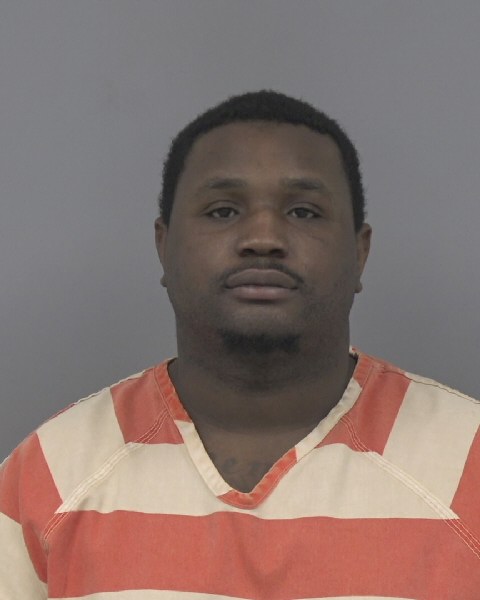 Mugshot of DENNIS WATSON