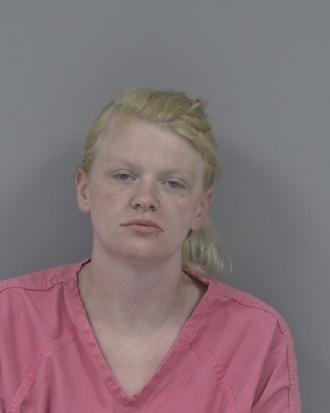 Mugshot of ERICA WOOD