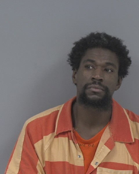 Mugshot of DANA HODGE