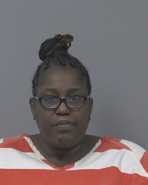 Mugshot of VENUS MITCHELL