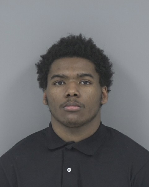 Mugshot of NOELLE MANNING