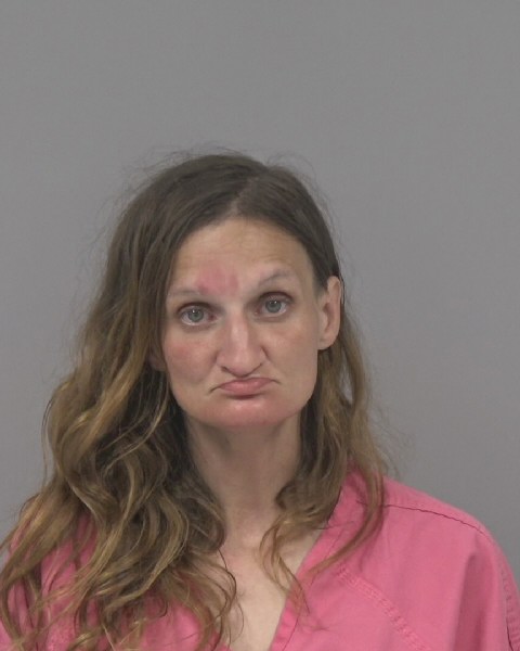 Mugshot of PRISCILLA KING