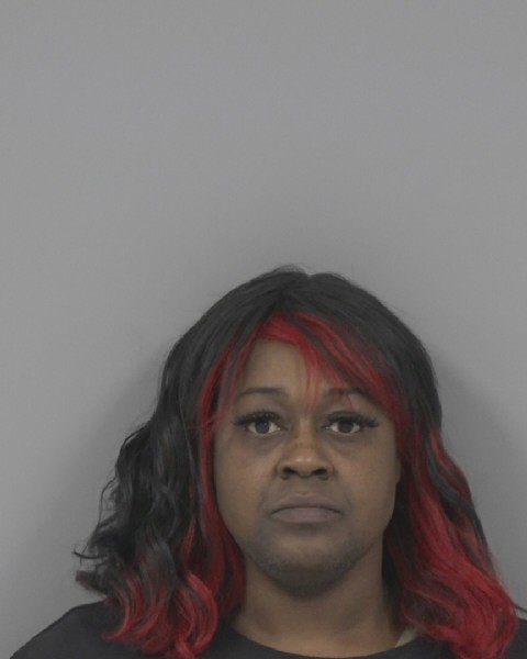 Mugshot of TERRI CHAPPELL