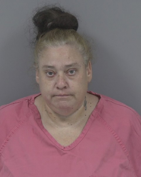 Mugshot of LISA MCMILLAN