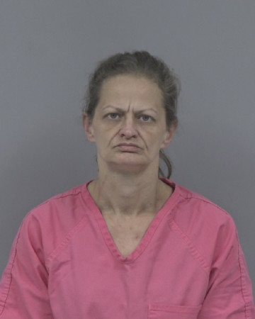 Mugshot of TARA HAMILTON