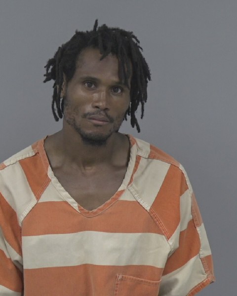Mugshot of DOMONIQUE JACKSON