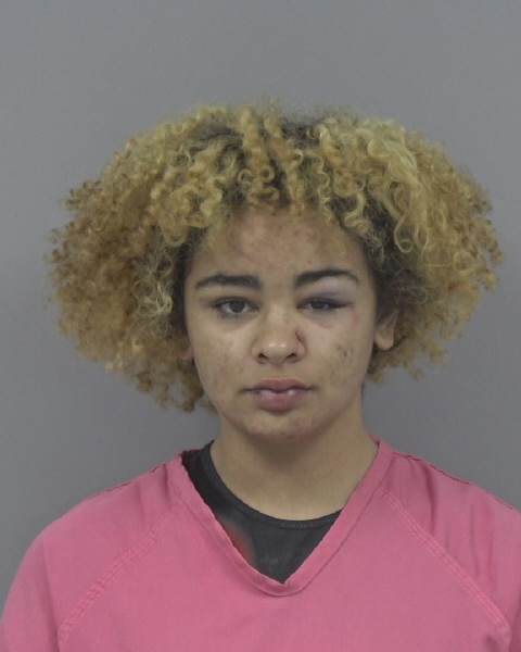 Mugshot of NEVAEH MEAD