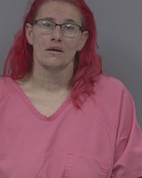 Mugshot of STEFANIE LEVAN