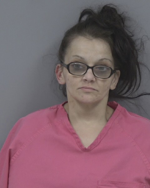 Mugshot of ELIZABETH CREECH