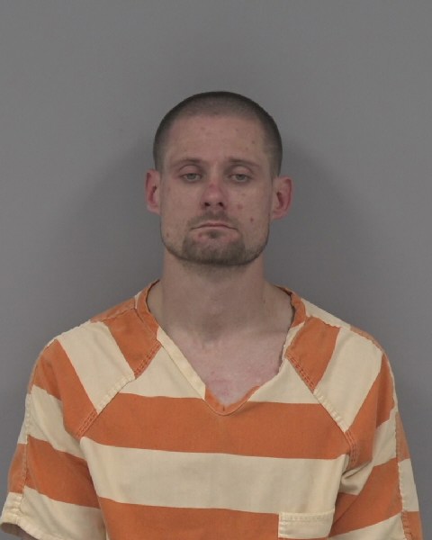 Mugshot of ROBERT PAGE