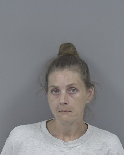 Mugshot of MORGAN HOLLOMAN