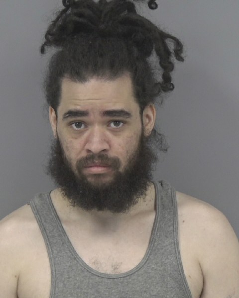 Mugshot of CHIRISTAN MEDLIN