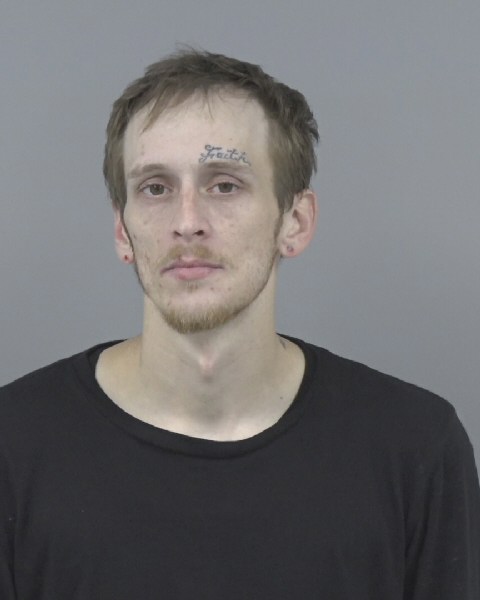 Mugshot of DONOVAN GARDNER