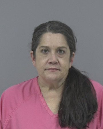 Mugshot of TONYA DAVIS