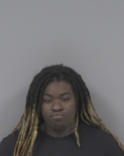 Mugshot of TIFFANY TUCKER