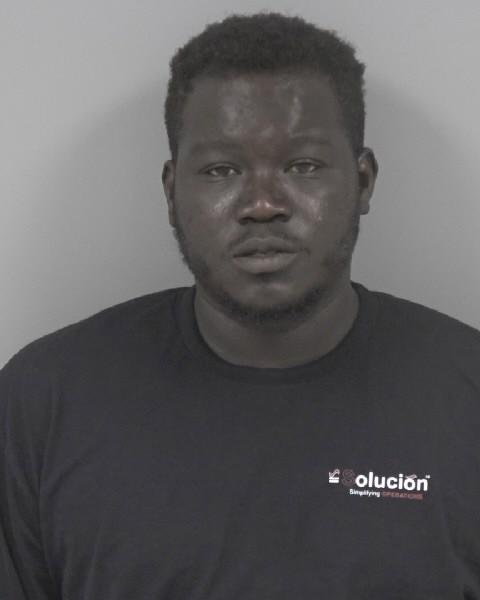 Mugshot of MANYEL NGONG
