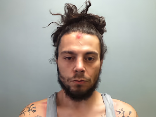 Mugshot of DAVID MICHAEL MCFARLAND