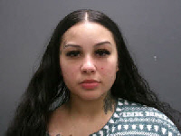 Mugshot of BRIANA LYNN CHEEK