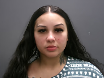 Mugshot of BRIANA LYNN CHEEK