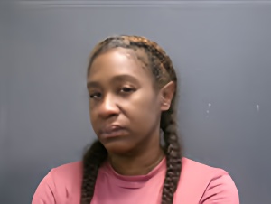 Mugshot of MELODY DENISE LEWIS