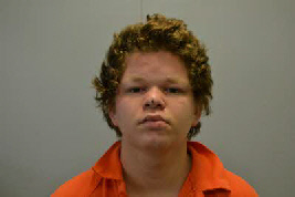 Mugshot of WILLIAM CURTIS WOOD