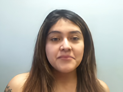 Mugshot of VIVIANA NMN RAMIREZ