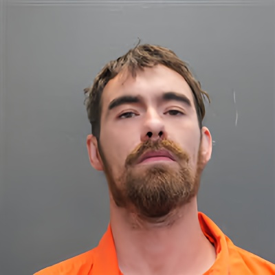 Mugshot of DAVID TYLER BISSETTE
