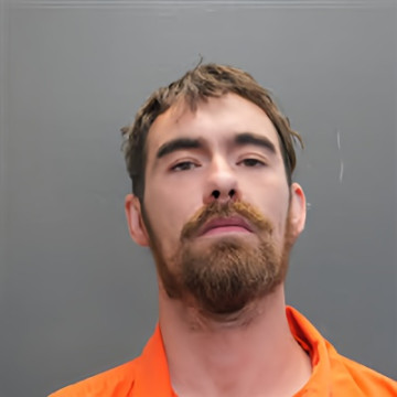 Mugshot of DAVID TYLER BISSETTE