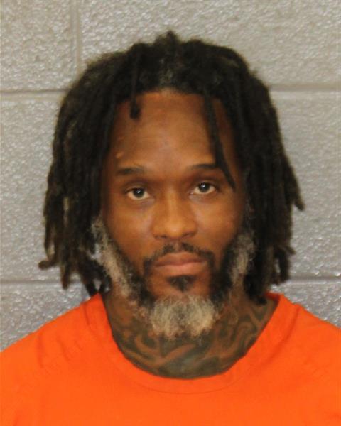 Mugshot of REGINALD DENARD LEVISON