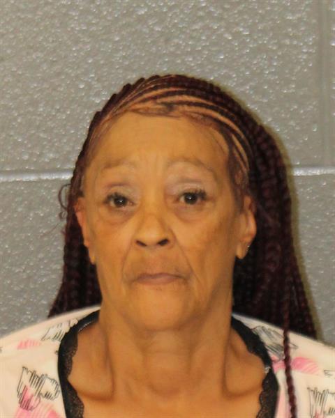 Mugshot of LYNDA YVETTE MASON