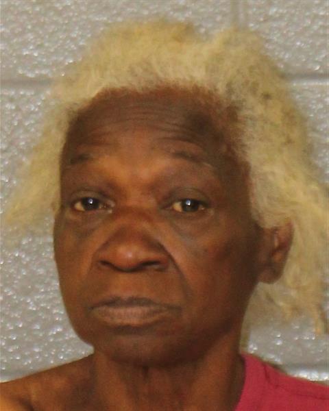 Mugshot of GAIL KRISTINE STEWART