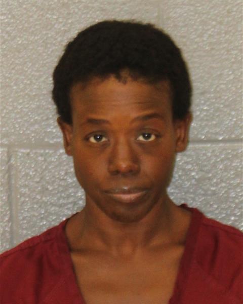 Mugshot of REBECCA BREEDEN NELSON