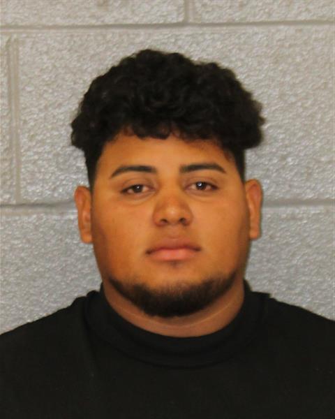 Mugshot of LUIS MARIO CASTILLO-MAR...