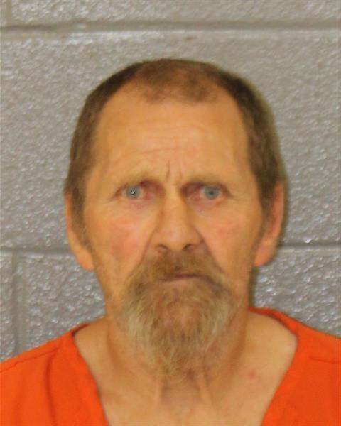 Mugshot of DAVID IVEY BRIDGES