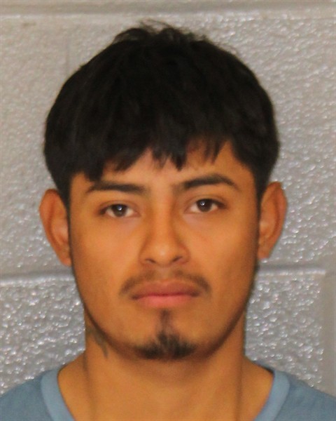 Mugshot of OSCAR GEOVANI LEBIA