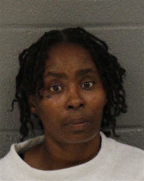 Mugshot of MAHOGANNY ANN WELCH