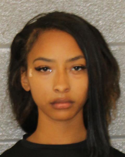 Mugshot of SOPHIA BRITO