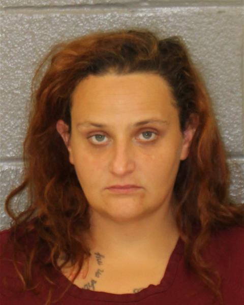 Mugshot of JAMIE LEE FAY