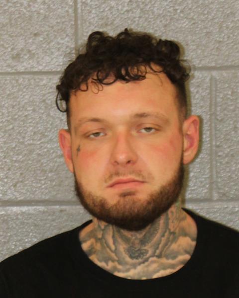 Mugshot of DYLAN WEST