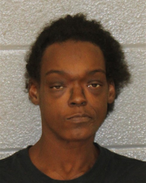 Mugshot of BRITTANY SAMONE JENKINS