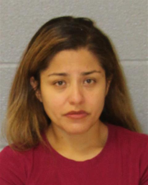 Mugshot of PAMELA YUNUE HERNANDEZ-GO...